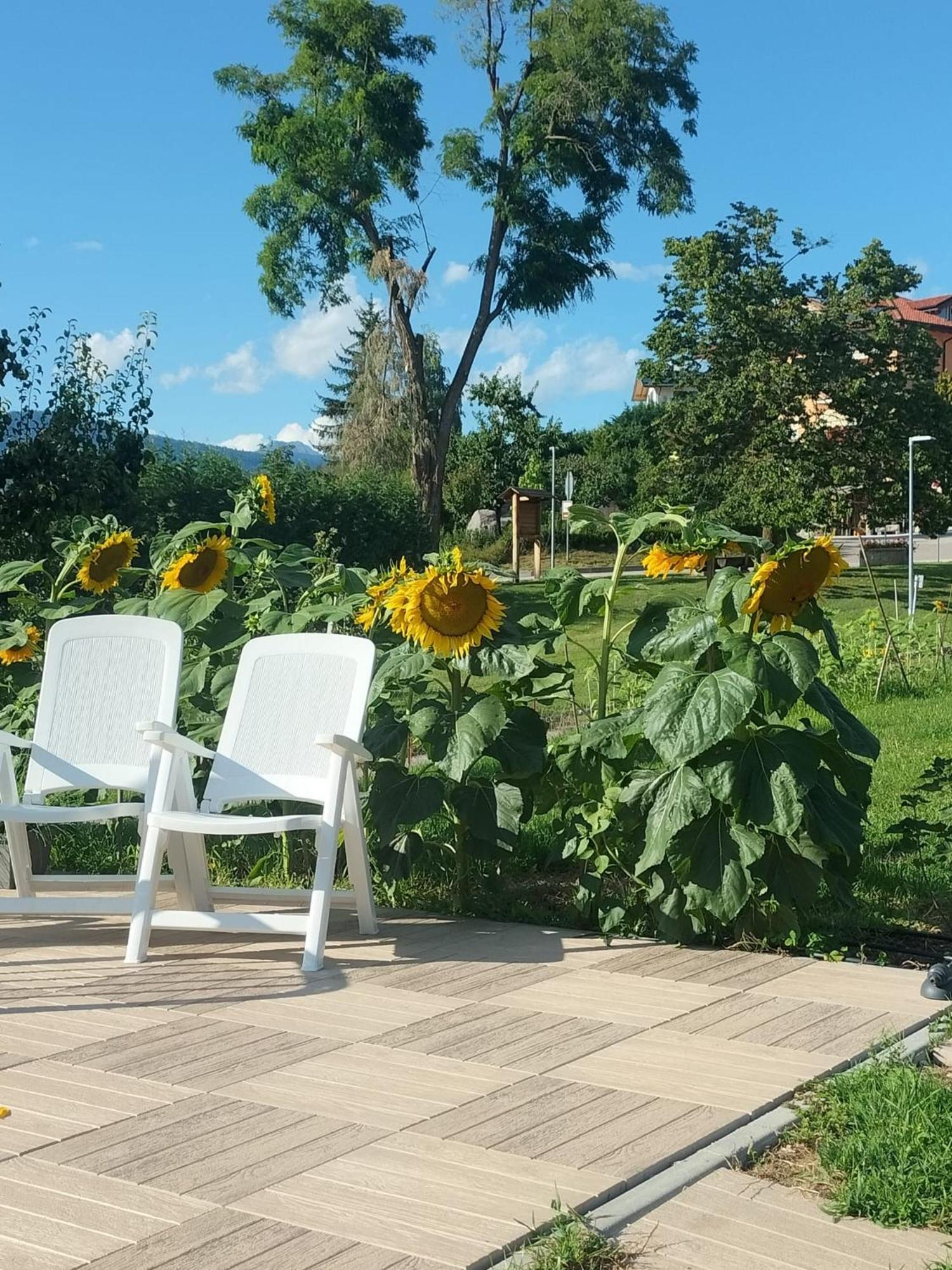 I Girasoli Sanzeno Exterior foto
